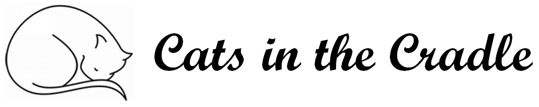 Directions-Cats in the Cradle